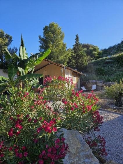 Hotel Domaine Du Chene à Campagnan Extérieur photo